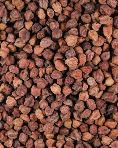 Black Chana