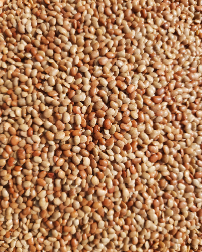 Horse Gram