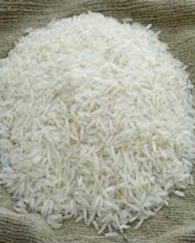 Kolam rice