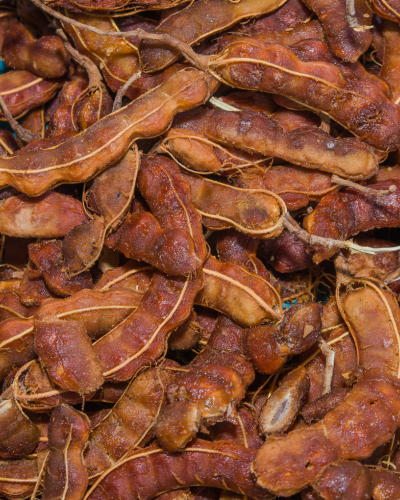 Tamarind