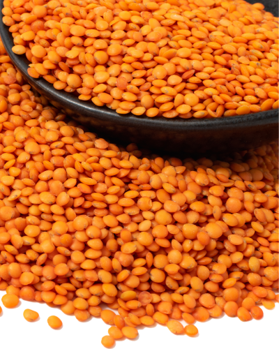 masoor dal