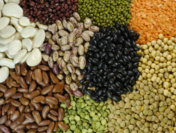 Pulses image