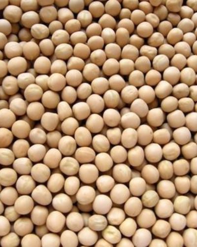 white peas